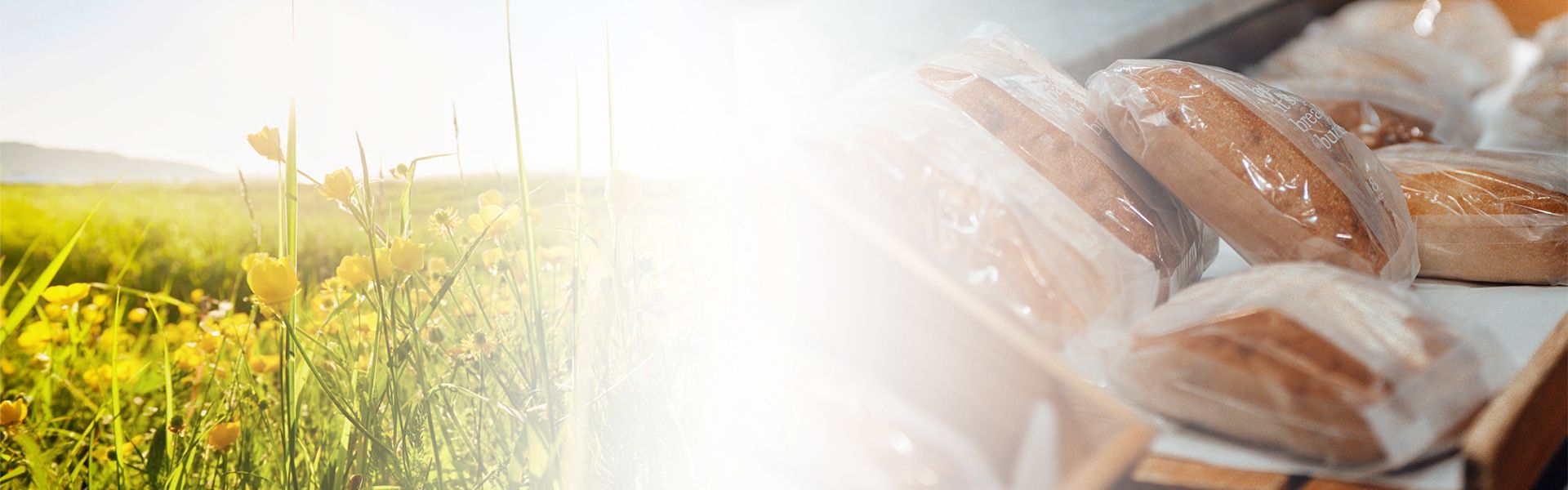 banner image of greenery and baked goods