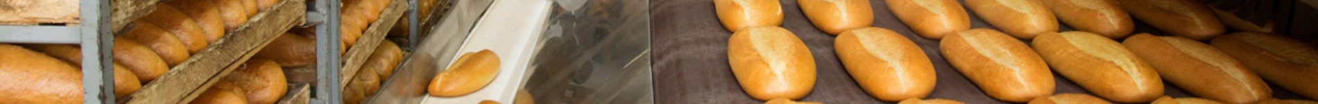 freshly baked bread banner