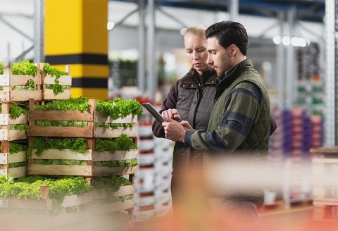 two people looking at a tablet in a produce warehouse