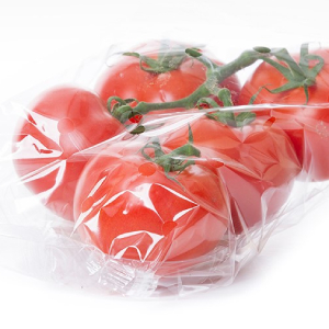 tomatos on a vine in packaging